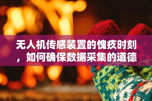 无人机传感装置的愧疚时刻，如何确保数据采集的道德边界？