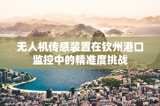 无人机传感装置在钦州港口监控中的精准度挑战
