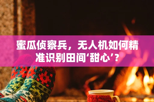 蜜瓜侦察兵，无人机如何精准识别田间‘甜心’？