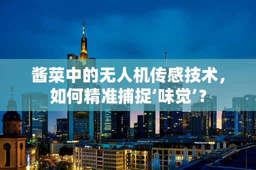 酱菜中的无人机传感技术，如何精准捕捉‘味觉’？