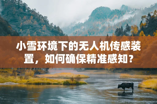 小雪环境下的无人机传感装置，如何确保精准感知？