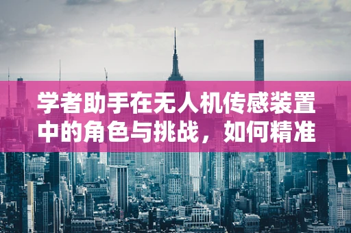学者助手在无人机传感装置中的角色与挑战，如何精准提升数据收集的准确性？