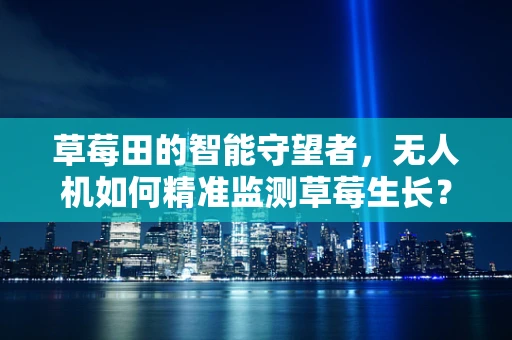 草莓田的智能守望者，无人机如何精准监测草莓生长？