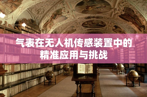 气表在无人机传感装置中的精准应用与挑战