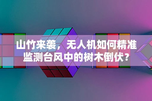 山竹来袭，无人机如何精准监测台风中的树木倒伏？