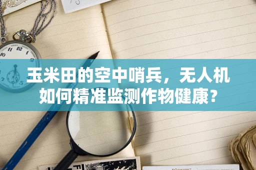 玉米田的空中哨兵，无人机如何精准监测作物健康？