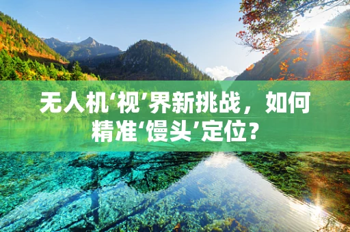 无人机‘视’界新挑战，如何精准‘馒头’定位？