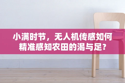 小满时节，无人机传感如何精准感知农田的渴与足？