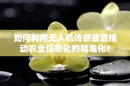 如何利用无人机传感装置推动农业信息化的精准化？