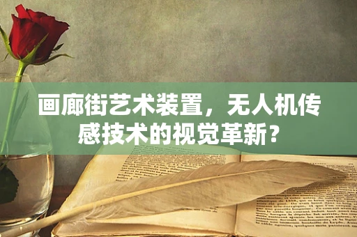 画廊街艺术装置，无人机传感技术的视觉革新？