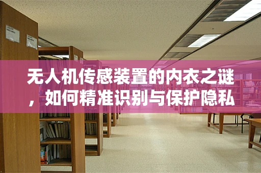 无人机传感装置的内衣之谜，如何精准识别与保护隐私？