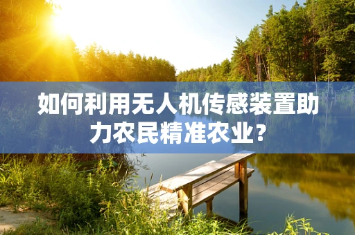 如何利用无人机传感装置助力农民精准农业？