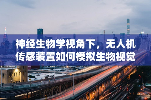 神经生物学视角下，无人机传感装置如何模拟生物视觉系统？