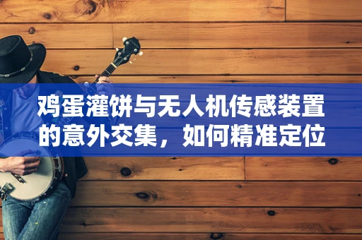 鸡蛋灌饼与无人机传感装置的意外交集，如何精准定位美食？