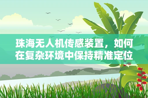 珠海无人机传感装置，如何在复杂环境中保持精准定位？