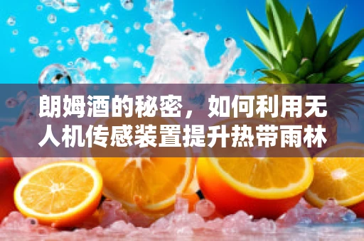 朗姆酒的秘密，如何利用无人机传感装置提升热带雨林监测精度？