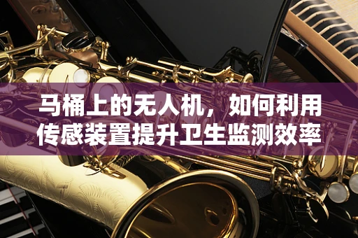 马桶上的无人机，如何利用传感装置提升卫生监测效率？