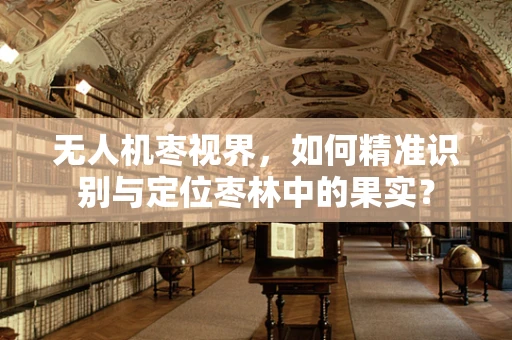 无人机枣视界，如何精准识别与定位枣林中的果实？