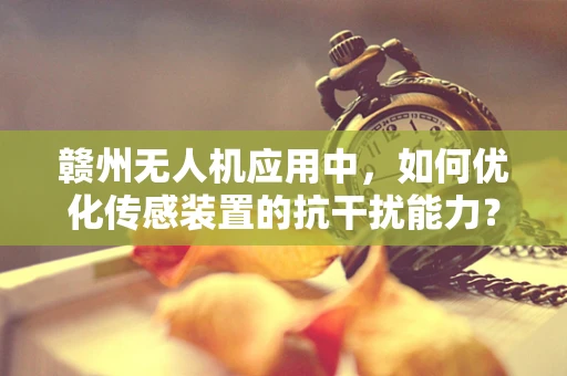 赣州无人机应用中，如何优化传感装置的抗干扰能力？