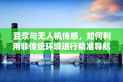 豆浆与无人机传感，如何利用非传统环境进行精准导航？