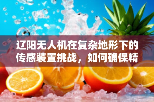 辽阳无人机在复杂地形下的传感装置挑战，如何确保精准导航与数据采集？