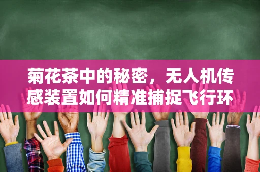 菊花茶中的秘密，无人机传感装置如何精准捕捉飞行环境？