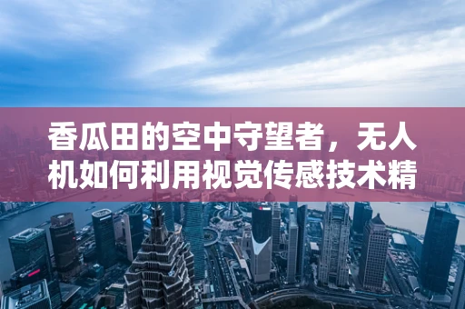 香瓜田的空中守望者，无人机如何利用视觉传感技术精准监测作物健康？