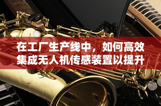在工厂生产线中，如何高效集成无人机传感装置以提升生产效率？