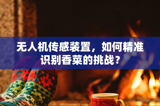 无人机传感装置，如何精准识别香菜的挑战？