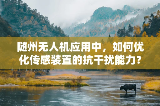 随州无人机应用中，如何优化传感装置的抗干扰能力？