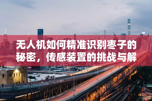 无人机如何精准识别枣子的秘密，传感装置的挑战与解决方案
