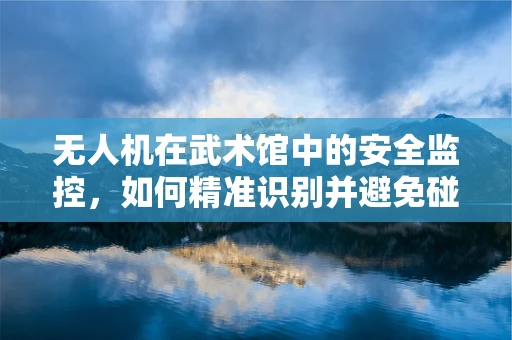 无人机在武术馆中的安全监控，如何精准识别并避免碰撞？