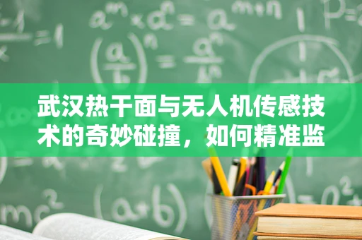 武汉热干面与无人机传感技术的奇妙碰撞，如何精准监测其生产环境？