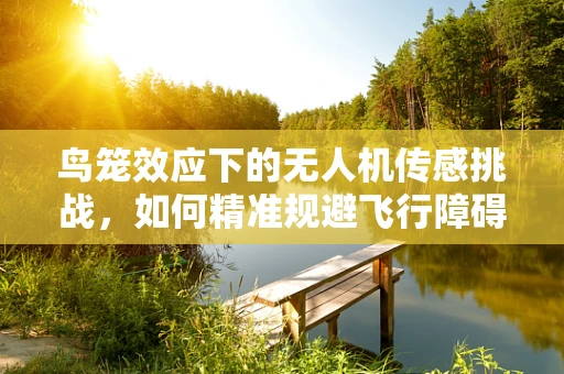 鸟笼效应下的无人机传感挑战，如何精准规避飞行障碍？
