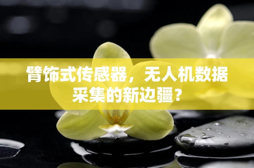 臂饰式传感器，无人机数据采集的新边疆？