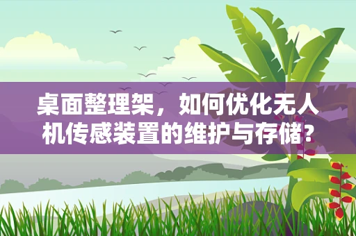 桌面整理架，如何优化无人机传感装置的维护与存储？