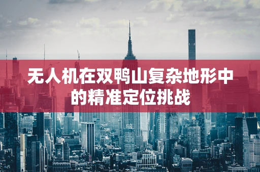 无人机在双鸭山复杂地形中的精准定位挑战