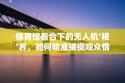 体育馆看台下的无人机‘视’界，如何精准捕捉观众情绪？