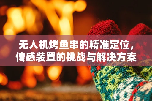 无人机烤鱼串的精准定位，传感装置的挑战与解决方案