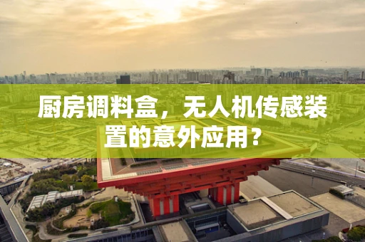 厨房调料盒，无人机传感装置的意外应用？
