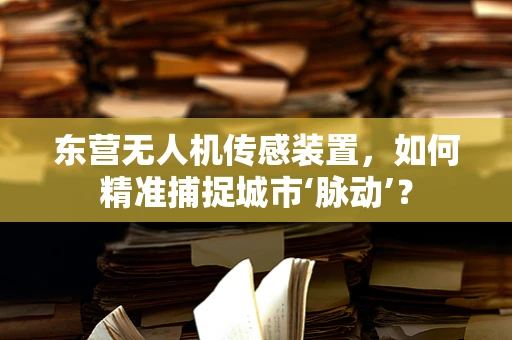 东营无人机传感装置，如何精准捕捉城市‘脉动’？