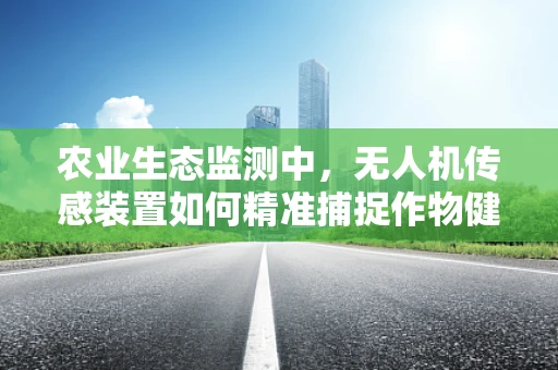 农业生态监测中，无人机传感装置如何精准捕捉作物健康与土壤状况？