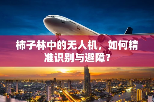 柿子林中的无人机，如何精准识别与避障？