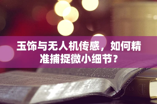 玉饰与无人机传感，如何精准捕捉微小细节？