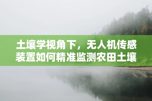 土壤学视角下，无人机传感装置如何精准监测农田土壤状况？