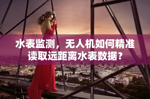 水表监测，无人机如何精准读取远距离水表数据？