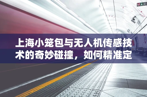 上海小笼包与无人机传感技术的奇妙碰撞，如何精准定位美食的空中视角？