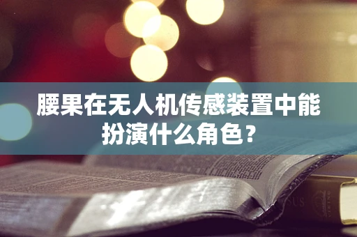 腰果在无人机传感装置中能扮演什么角色？