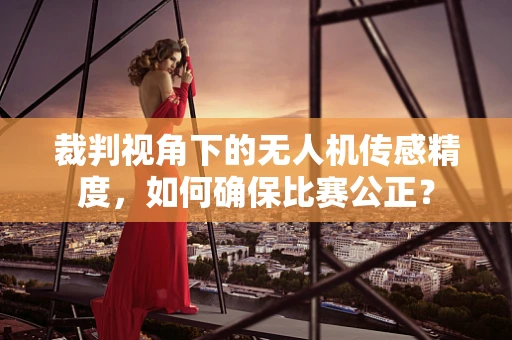 裁判视角下的无人机传感精度，如何确保比赛公正？