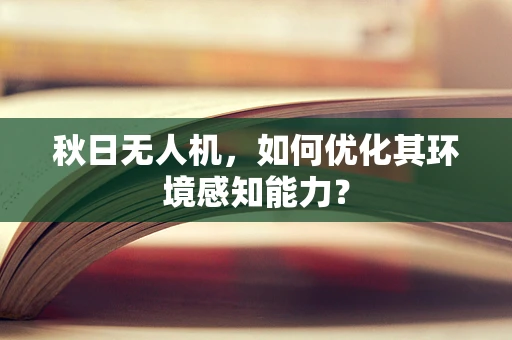 秋日无人机，如何优化其环境感知能力？